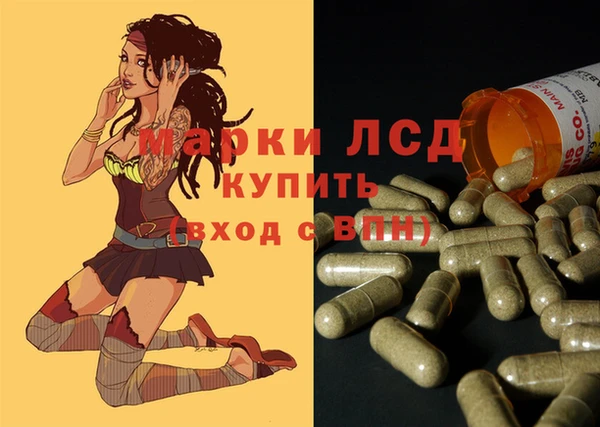 мдпв Инсар