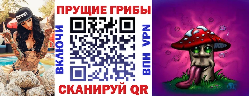 даркнет сайт Сухиничи Галлюциногенные грибы Magic Shrooms